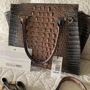 Brahmin Priscilla in Solstice